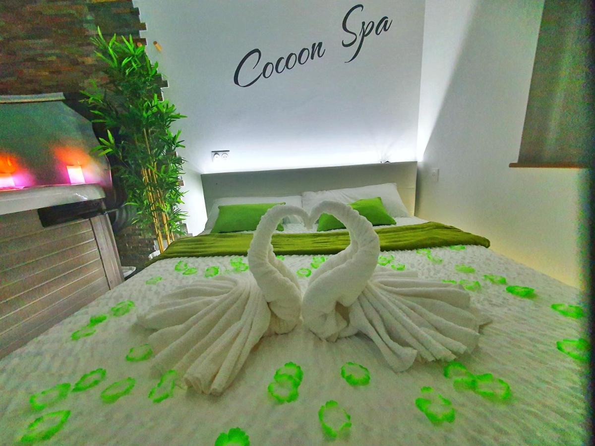 -Gite Cocoon Spa-Jacuzzi-Jardin-Parking Prive-Climatisation Holtzwihr Dış mekan fotoğraf