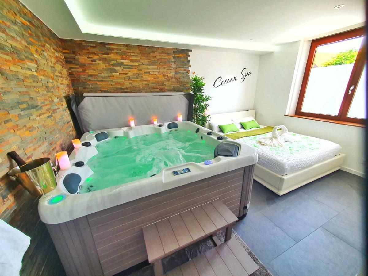 -Gite Cocoon Spa-Jacuzzi-Jardin-Parking Prive-Climatisation Holtzwihr Dış mekan fotoğraf